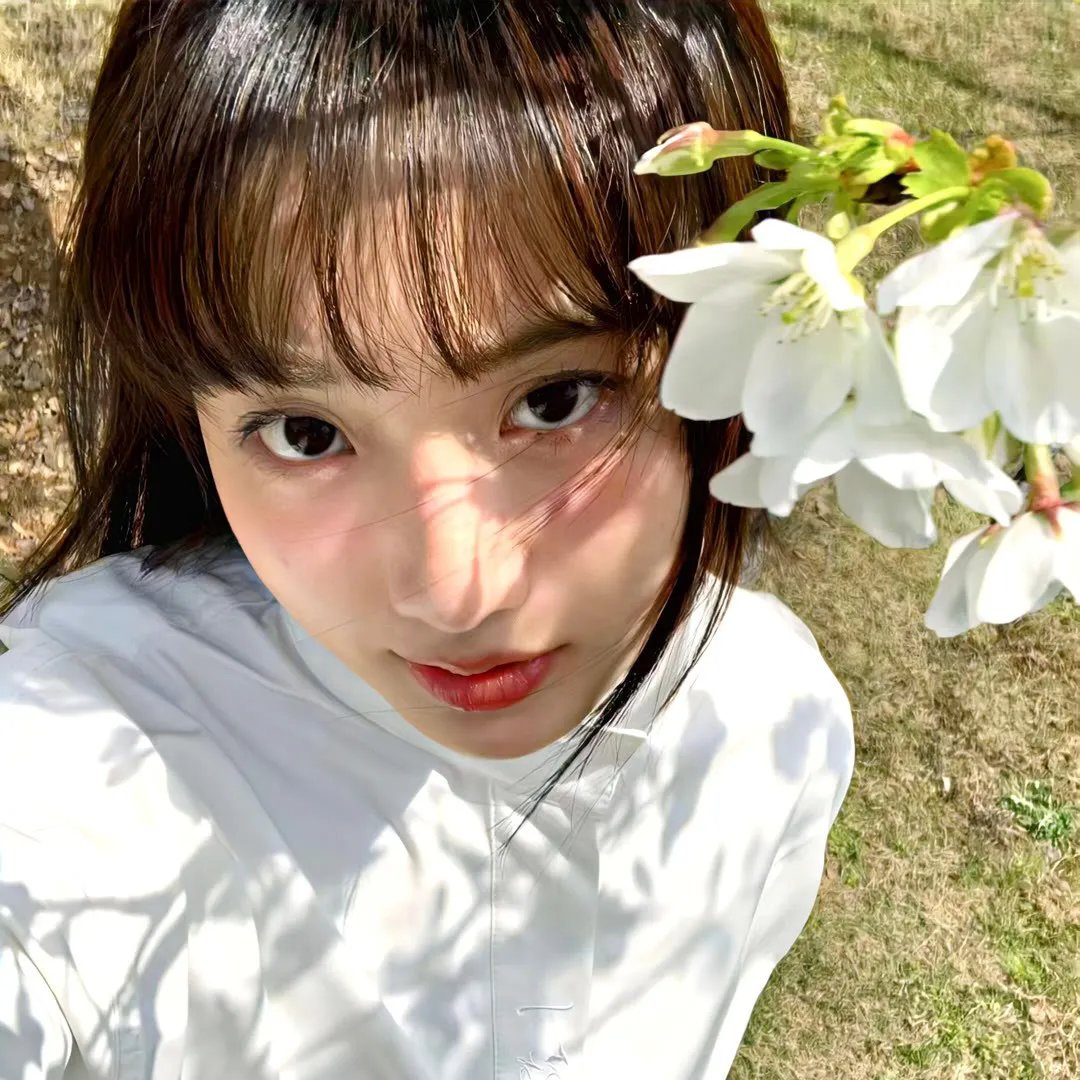 你在清浅年光时 在线观看