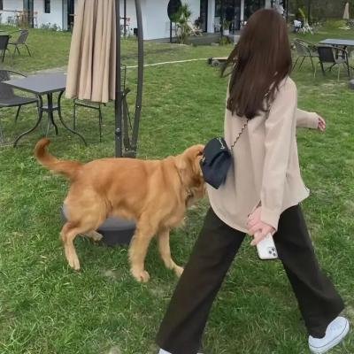 大明妖异录 在线观看